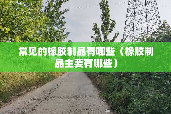 常见的橡胶制品有哪些（橡胶制品主要有哪些）