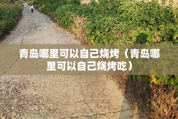 青岛哪里可以自己烧烤（青岛哪里可以自己烧烤吃）