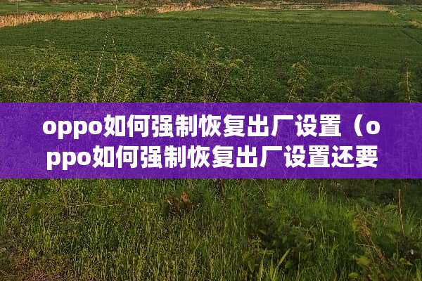 oppo如何强制恢复出厂设置（oppo如何强制恢复出厂设置还要密码）