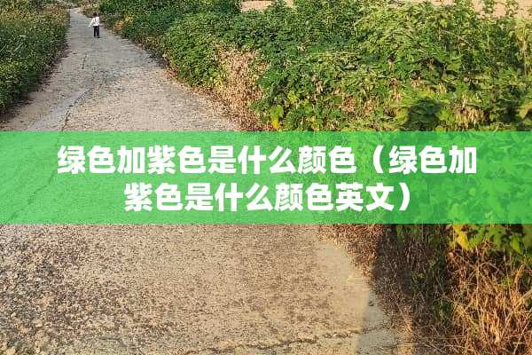 绿色加紫色是什么颜色（绿色加紫色是什么颜色英文）
