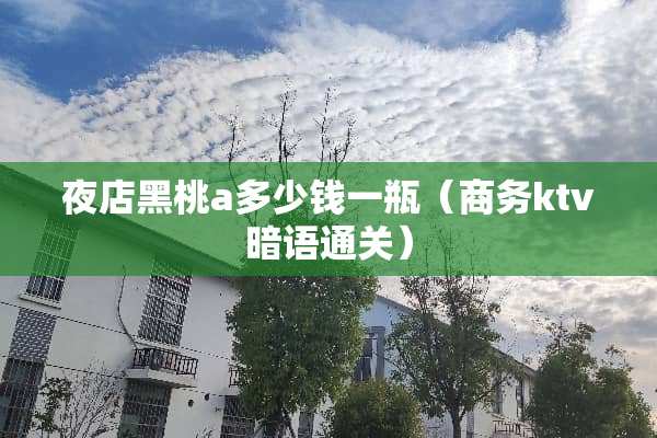 夜店黑桃a多少钱一瓶（商务ktv暗语通关）
