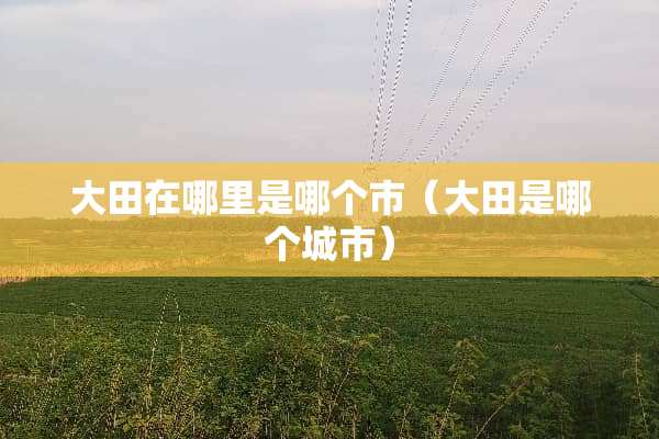大田在哪里是哪个市（大田是哪个城市）
