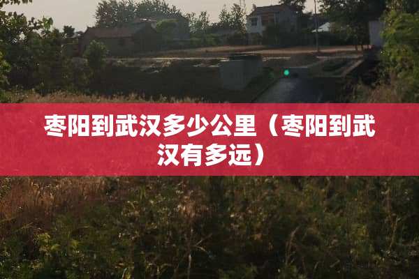 枣阳到武汉多少公里（枣阳到武汉有多远）