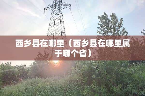 西乡县在哪里（西乡县在哪里属于哪个省）