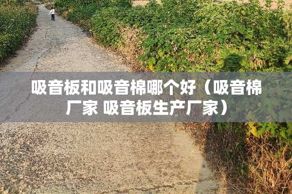 吸音板和吸音棉哪个好（吸音棉厂家 吸音板生产厂家）