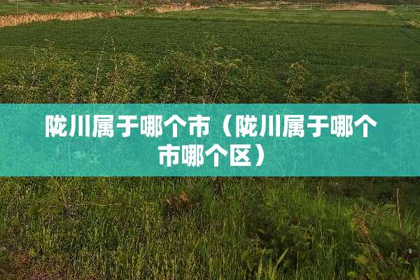 陇川属于哪个市（陇川属于哪个市哪个区）