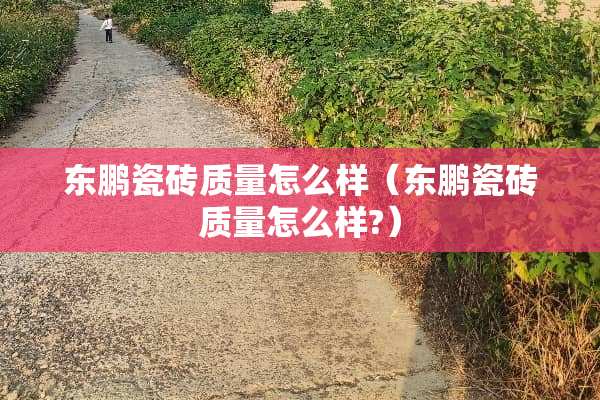 东鹏瓷砖质量怎么样（东鹏瓷砖质量怎么样?）
