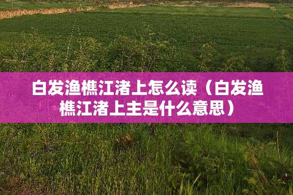 白发渔樵江渚上怎么读（白发渔樵江渚上主是什么意思）