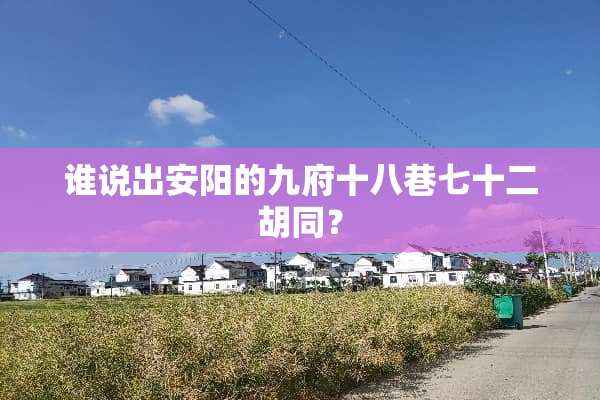 谁说出安阳的九府十八巷七十二胡同？