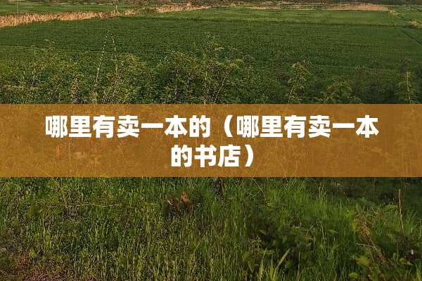 哪里有卖一本的（哪里有卖一本的书店）