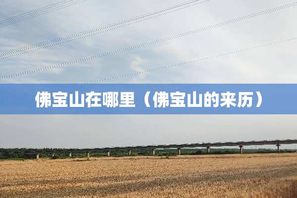 佛宝山在哪里（佛宝山的来历）