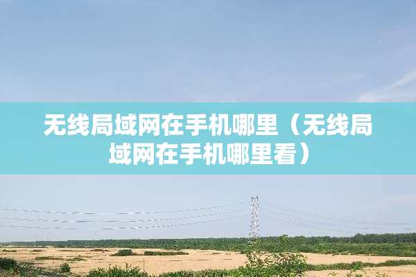 无线局域网在手机哪里（无线局域网在手机哪里看）