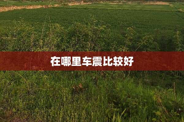 在哪里车震比较好