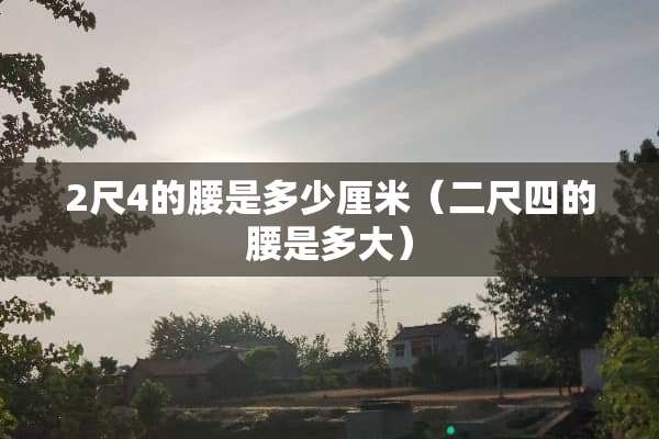 2尺4的腰是多少厘米（二尺四的腰是多大）