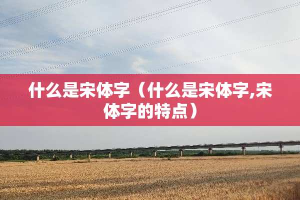 什么是宋体字（什么是宋体字,宋体字的特点）