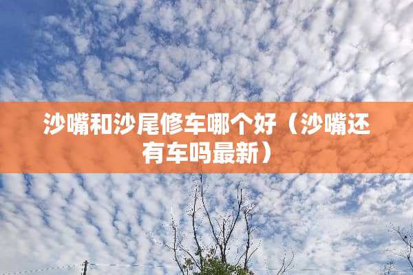 沙嘴和沙尾修车哪个好（沙嘴还有车吗最新）