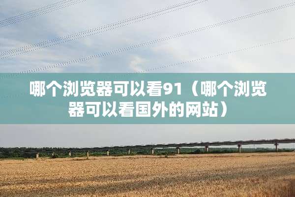 哪个浏览器可以看91（哪个浏览器可以看国外的网站）