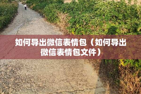 如何导出微信表情包（如何导出微信表情包文件）