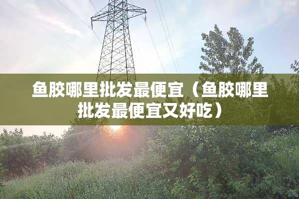 鱼胶哪里批发最便宜（鱼胶哪里批发最便宜又好吃）
