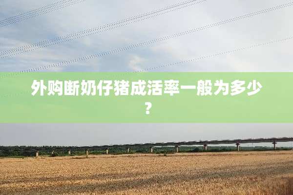 外购断奶仔猪成活率一般为多少？