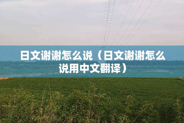 日文谢谢怎么说（日文谢谢怎么说用中文翻译）