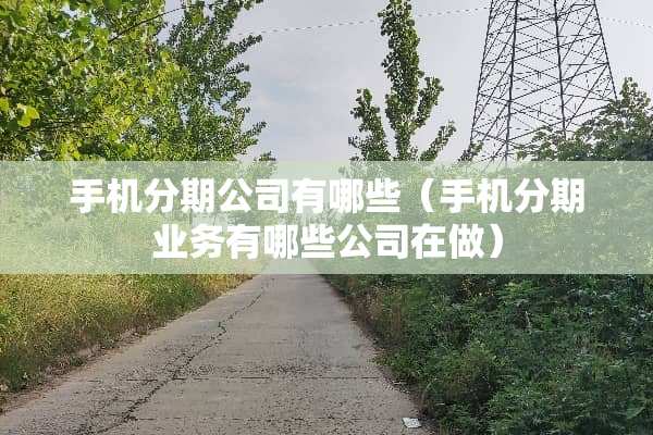 手机分期公司有哪些（手机分期业务有哪些公司在做）