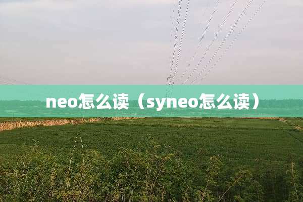 neo怎么读（syneo怎么读）