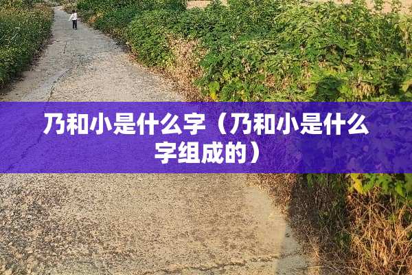 乃和小是什么字（乃和小是什么字组成的）
