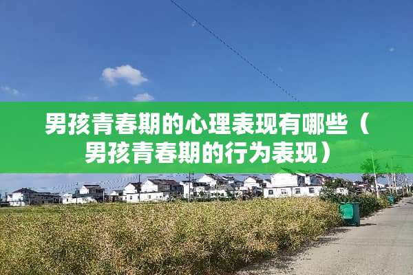 男孩青春期的心理表现有哪些（男孩青春期的行为表现）