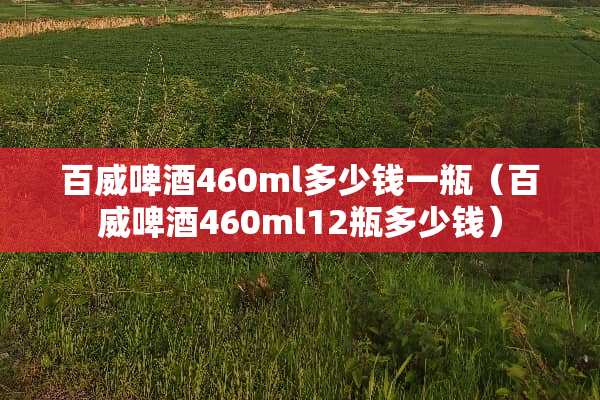 百威啤酒460ml多少钱一瓶（百威啤酒460ml12瓶多少钱）