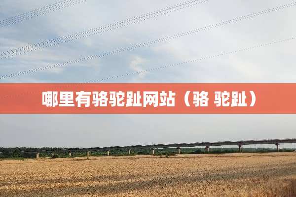 哪里有骆驼趾网站（骆 驼趾）