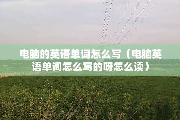 电脑的英语单词怎么写（电脑英语单词怎么写的呀怎么读）