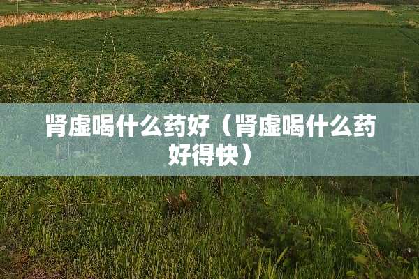 肾虚喝什么药好（肾虚喝什么药好得快）