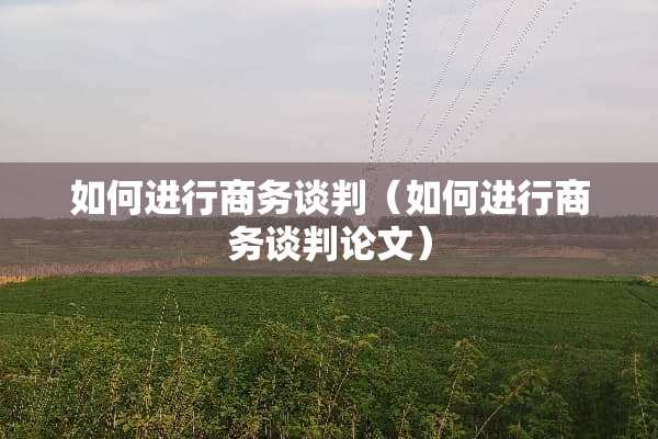 如何进行商务谈判（如何进行商务谈判论文）
