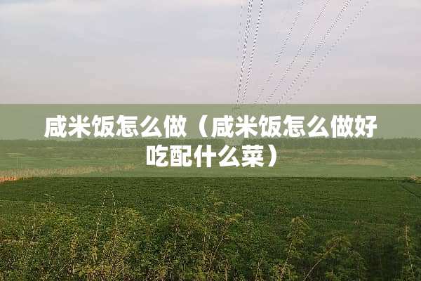 咸米饭怎么做（咸米饭怎么做好吃配什么菜）