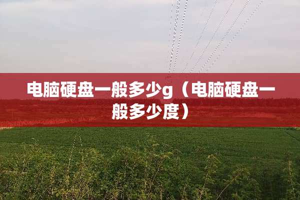电脑硬盘一般多少g（电脑硬盘一般多少度）