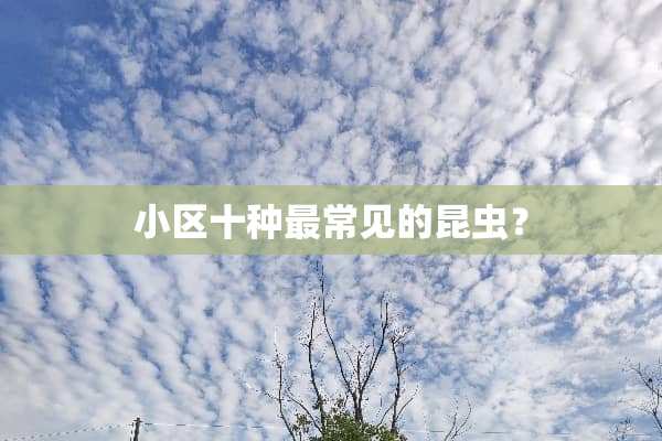 小区十种最常见的昆虫？