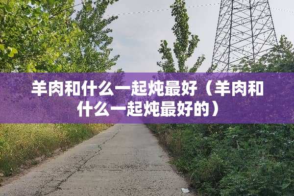 羊肉和什么一起炖最好（羊肉和什么一起炖最好的）