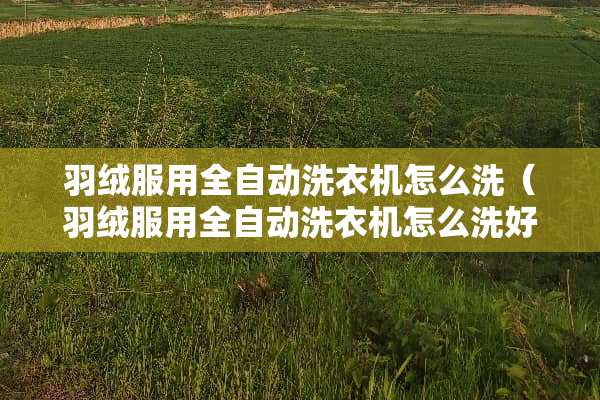 羽绒服用全自动洗衣机怎么洗（羽绒服用全自动洗衣机怎么洗好）