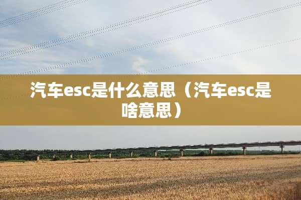 汽车esc是什么意思（汽车esc是啥意思）