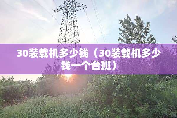 30装载机多少钱（30装载机多少钱一个台班）