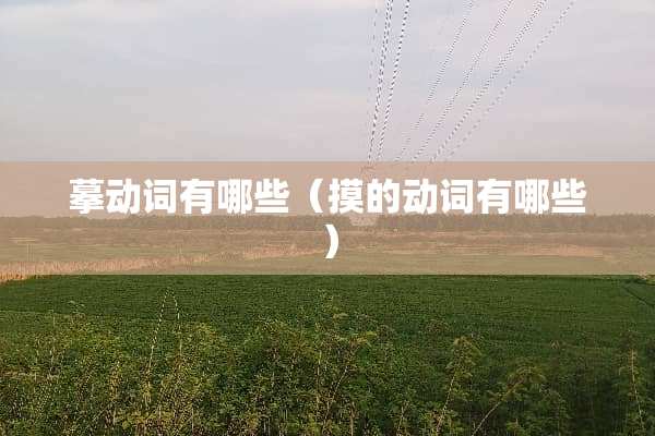 摹动词有哪些（摸的动词有哪些）