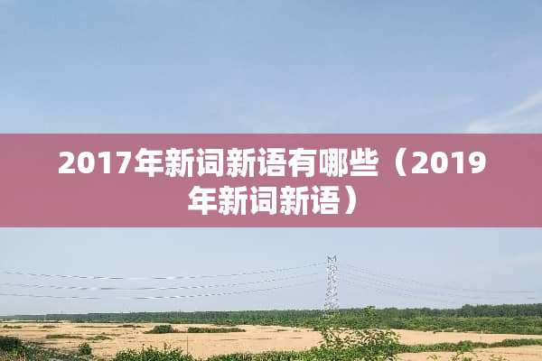 2017年新词新语有哪些（2019年新词新语）