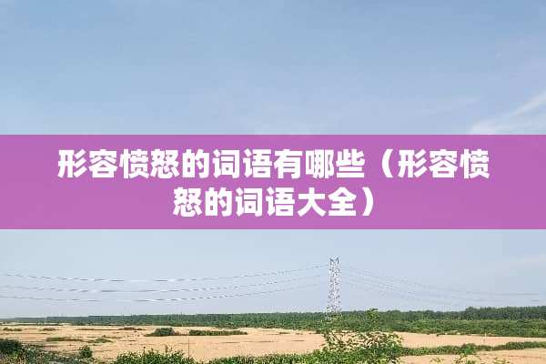 形容愤怒的词语有哪些（形容愤怒的词语大全）