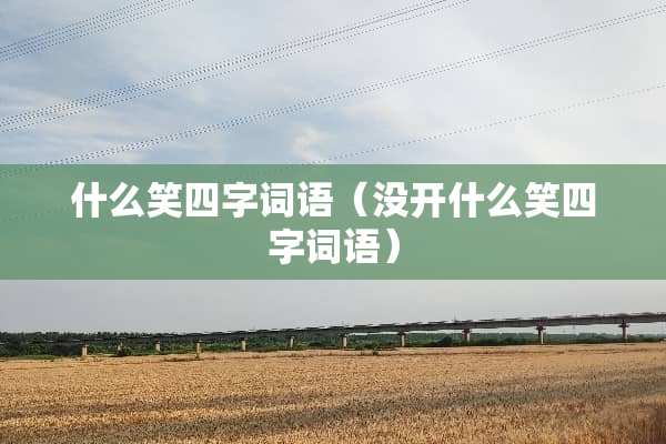 什么笑四字词语（没开什么笑四字词语）