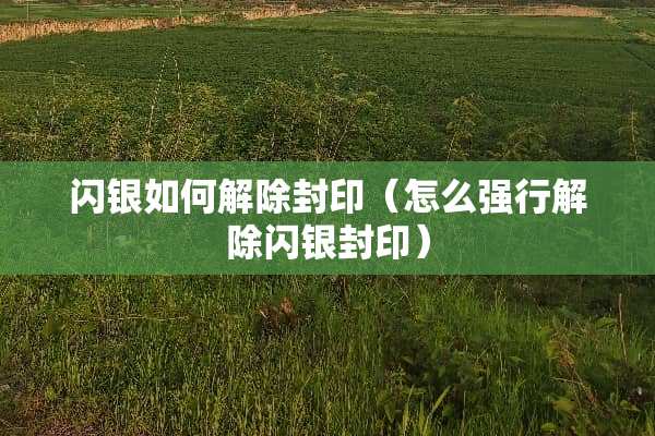 闪银如何解除封印（怎么强行解除闪银封印）