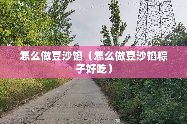 怎么做豆沙馅（怎么做豆沙馅粽子好吃）