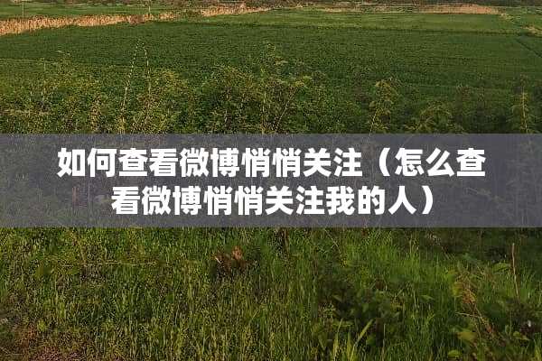 如何查看微博悄悄关注（怎么查看微博悄悄关注我的人）