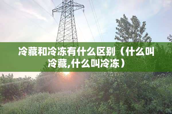 冷藏和冷冻有什么区别（什么叫冷藏,什么叫冷冻）