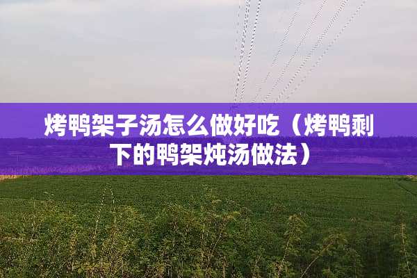 烤鸭架子汤怎么做好吃（烤鸭剩下的鸭架炖汤做法）